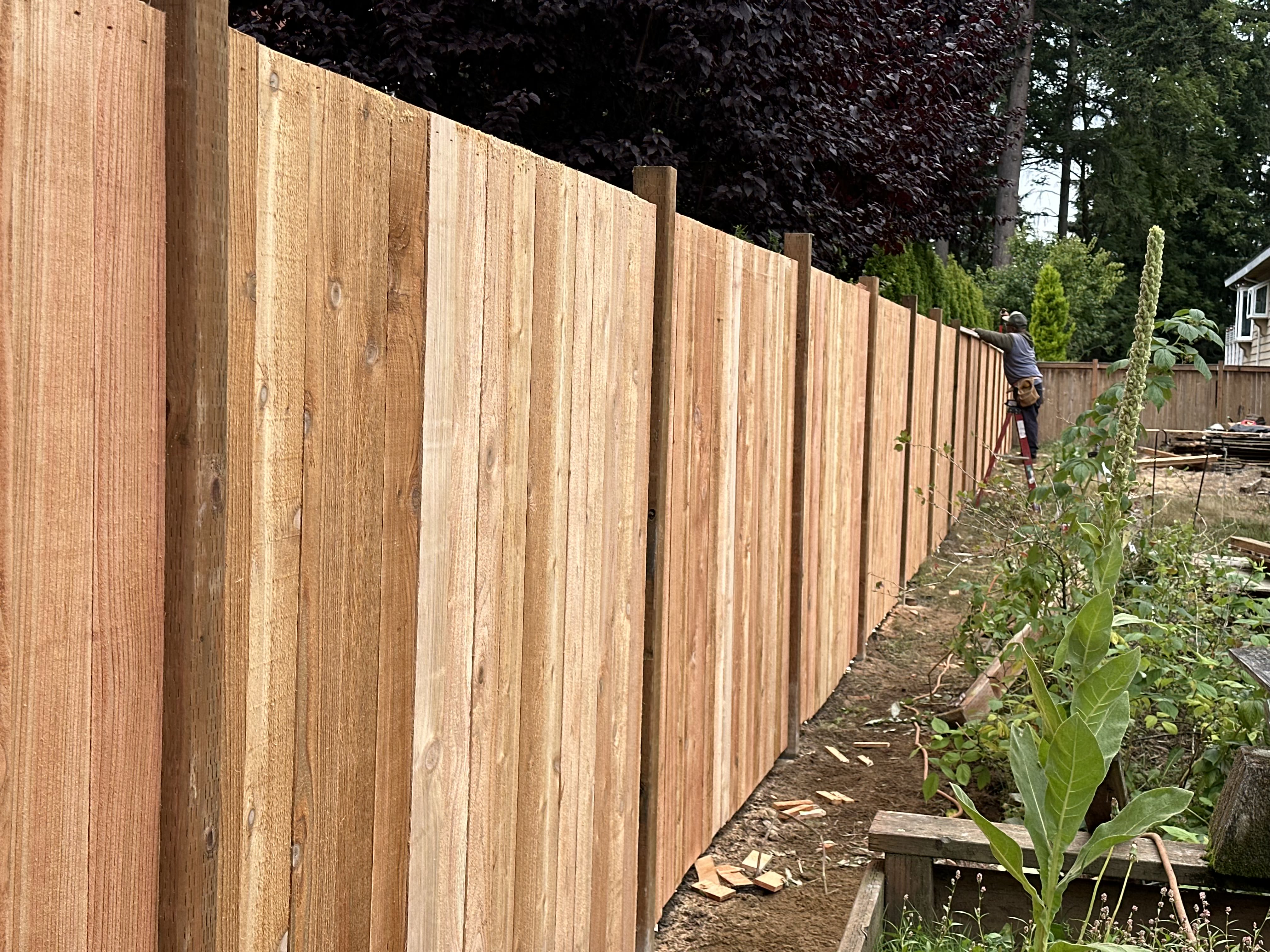 Issaquah garden and hardscape blend with lighting